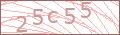  Friedhof Captcha