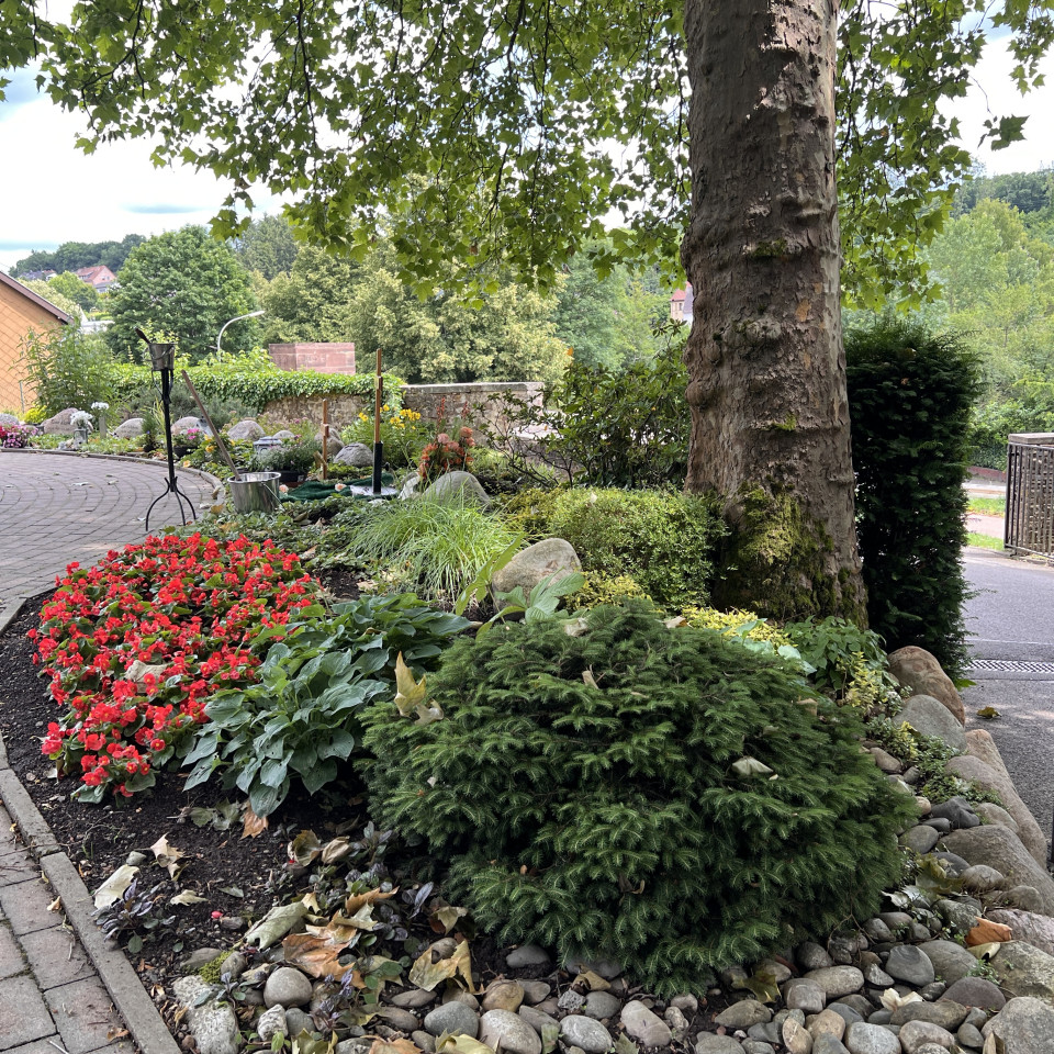 MemoriamGarten Fischbach MemoriamGarten Fischbach