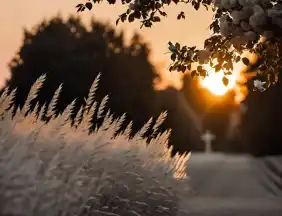 Ingolstadt Friedhof Feldkirchen