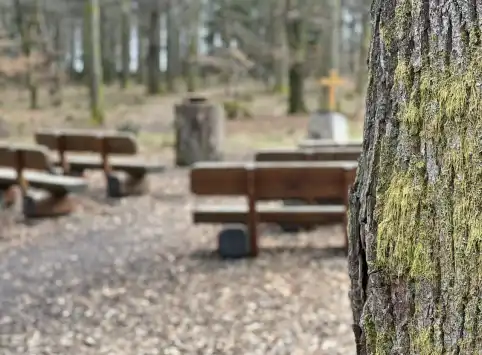 FriedWald Imsbach