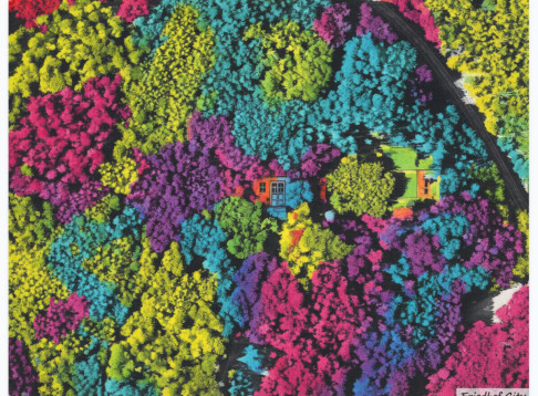 Ruheforst Kaiserslautern