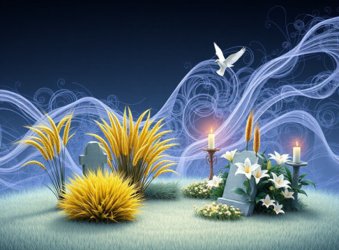 Ruheforst Schweriner Seen