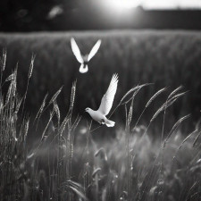 Friedhof Geislautern